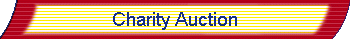 Charity Auction