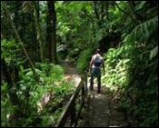 701983_puerto_rico_-_hiking_1